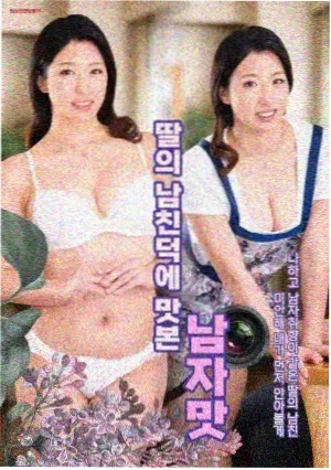 内容分区结构说明档案标本图